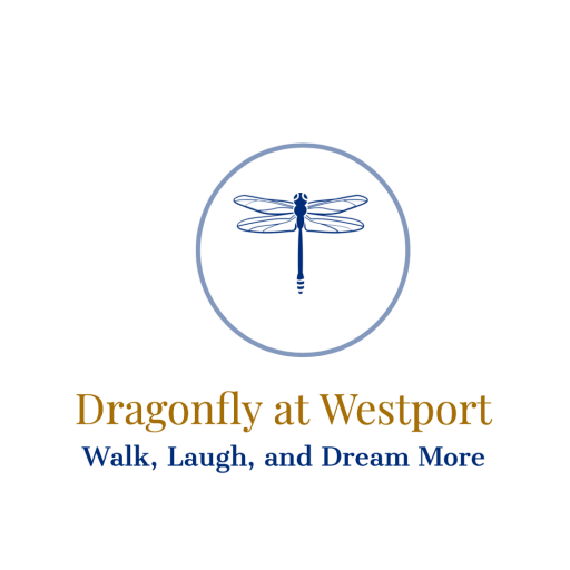 Dragonfly at Westport